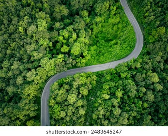 金沙国际官网：探索全球顶级娱乐场所的魅力与乐趣